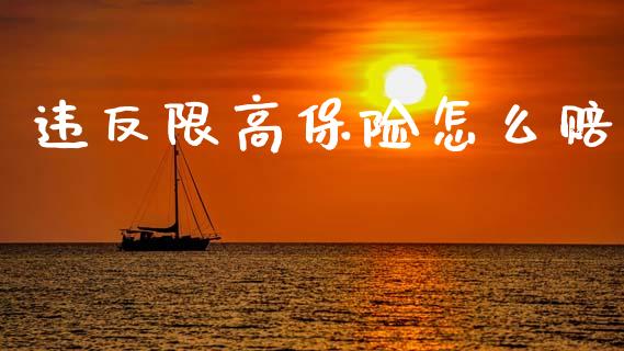 违反限高保险怎么赔_https://wap.lxcailiao.com_股权投资_第1张