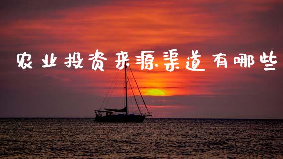 农业投资来源渠道有哪些_https://wap.lxcailiao.com_财务管理_第1张
