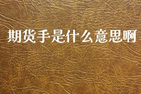 期货手是什么意思啊_https://wap.lxcailiao.com_金融监管_第1张
