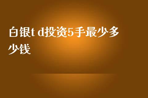 白银t d投资5手最少多少钱_https://wap.lxcailiao.com_股权投资_第1张
