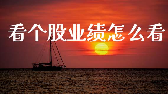 看个股业绩怎么看_https://wap.lxcailiao.com_股权投资_第1张