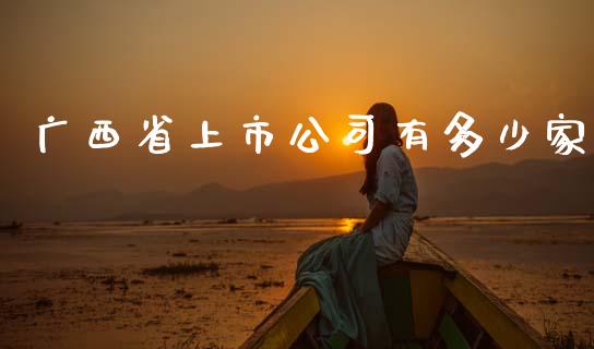 广西省上市公司有多少家_https://wap.lxcailiao.com_股权投资_第1张