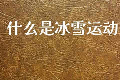 什么是冰雪运动_https://wap.lxcailiao.com_财务管理_第1张