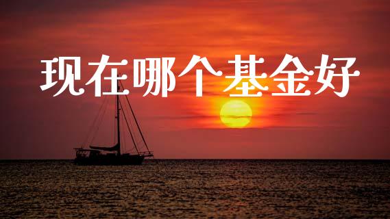 现在哪个基金好_https://wap.lxcailiao.com_融资担保_第1张