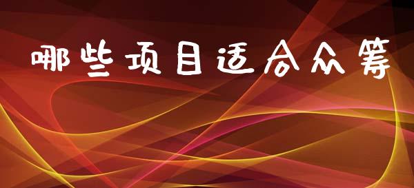 哪些项目适合众筹_https://wap.lxcailiao.com_财务管理_第1张