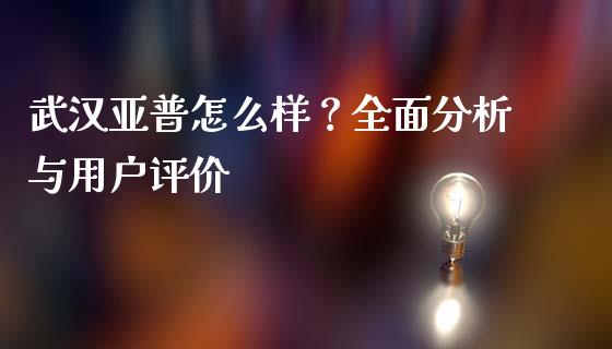 武汉亚普怎么样？全面分析与用户评价_https://wap.lxcailiao.com_财务管理_第1张