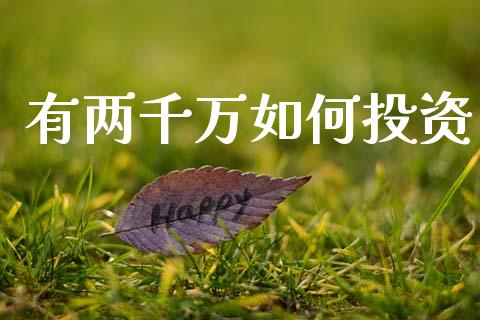 有两千万如何投资_https://wap.lxcailiao.com_金融监管_第1张