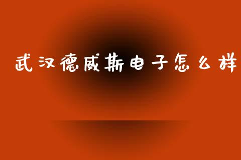 武汉德威斯电子怎么样_https://wap.lxcailiao.com_股权投资_第1张