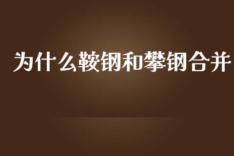 为什么鞍钢和攀钢合并_https://wap.lxcailiao.com_财务管理_第1张