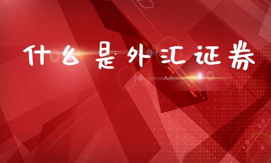 什么是外汇证券_https://wap.lxcailiao.com_融资担保_第1张
