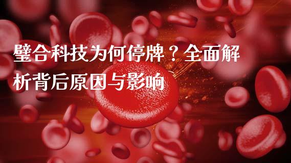 璧合科技为何停牌？全面解析背后原因与影响_https://wap.lxcailiao.com_股权投资_第1张