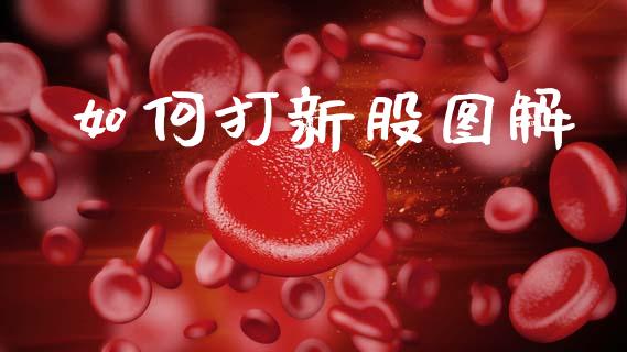 如何打新股图解_https://wap.lxcailiao.com_财务管理_第1张