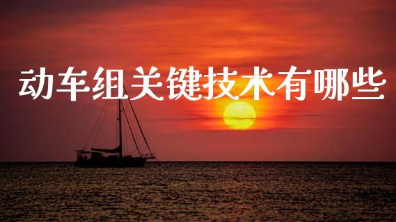 动车组关键技术有哪些_https://wap.lxcailiao.com_融资担保_第1张