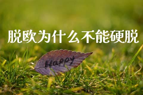 脱欧为什么不能硬脱_https://wap.lxcailiao.com_融资担保_第1张