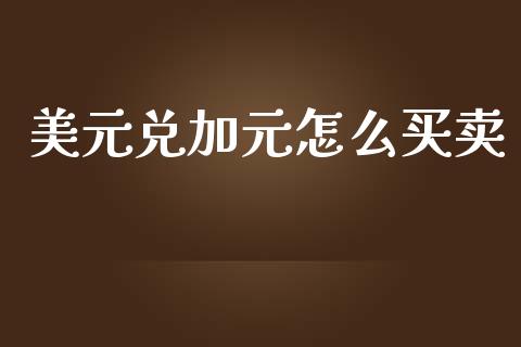 美元兑加元怎么买卖_https://wap.lxcailiao.com_股权投资_第1张