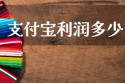 支付宝利润多少_https://wap.lxcailiao.com_股权投资_第1张