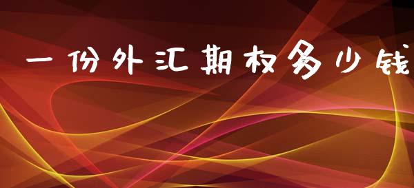 一份外汇期权多少钱_https://wap.lxcailiao.com_融资担保_第1张
