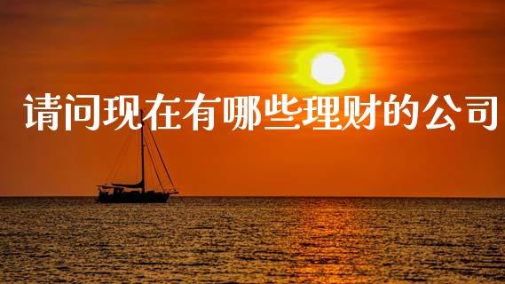 请问现在有哪些理财的公司_https://wap.lxcailiao.com_财务管理_第1张