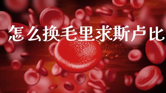 怎么换毛里求斯卢比_https://wap.lxcailiao.com_金融监管_第1张