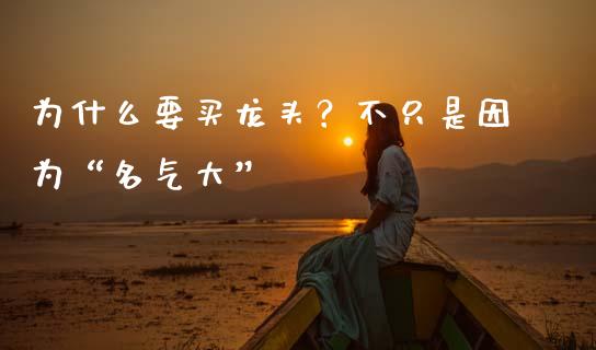为什么要买龙头？不只是因为“名气大”_https://wap.lxcailiao.com_金融监管_第1张
