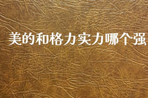 美的和格力实力哪个强_https://wap.lxcailiao.com_融资担保_第1张