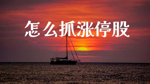 怎么抓涨停股_https://wap.lxcailiao.com_财务管理_第1张
