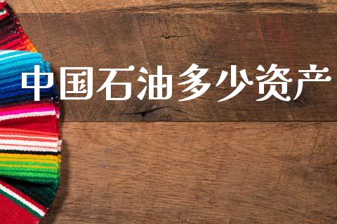 中国石油多少资产_https://wap.lxcailiao.com_股权投资_第1张