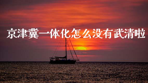 京津冀一体化怎么没有武清啦_https://wap.lxcailiao.com_金融监管_第1张