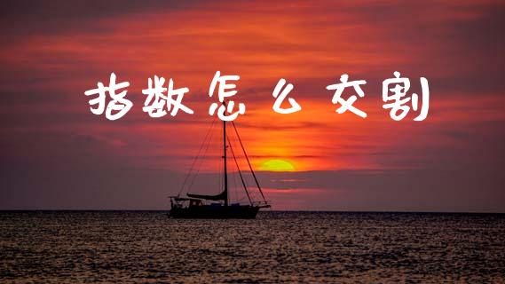 指数怎么交割_https://wap.lxcailiao.com_财务管理_第1张