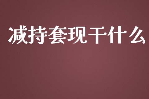 减持套现干什么_https://wap.lxcailiao.com_金融监管_第1张