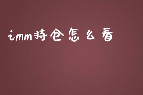 imm持仓怎么看_https://wap.lxcailiao.com_融资担保_第1张