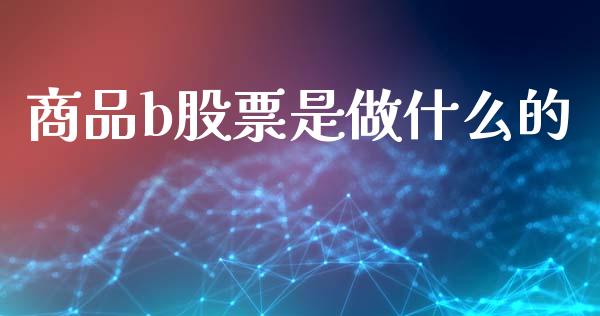 商品b股票是做什么的_https://wap.lxcailiao.com_金融监管_第1张