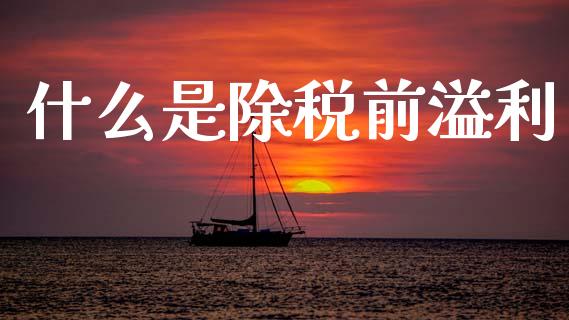 什么是除税前溢利_https://wap.lxcailiao.com_融资担保_第1张