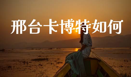 邢台卡博特如何_https://wap.lxcailiao.com_财务管理_第1张