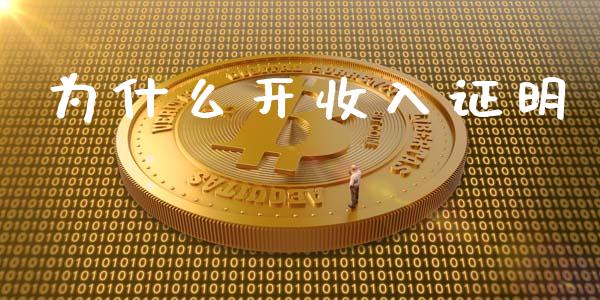 为什么开收入证明_https://wap.lxcailiao.com_融资担保_第1张