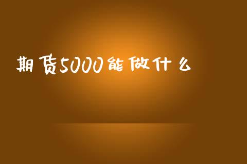 期货5000能做什么_https://wap.lxcailiao.com_股权投资_第1张