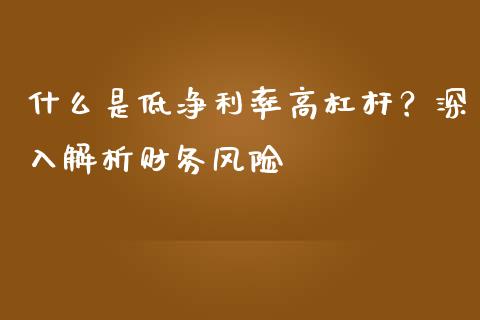 什么是低净利率高杠杆？深入解析财务风险_https://wap.lxcailiao.com_融资担保_第1张