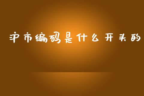 沪市编码是什么开头的_https://wap.lxcailiao.com_财务管理_第1张