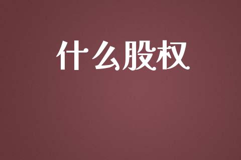 什么股权_https://wap.lxcailiao.com_融资担保_第1张