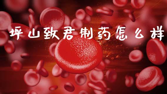坪山致君制药怎么样_https://wap.lxcailiao.com_金融监管_第1张