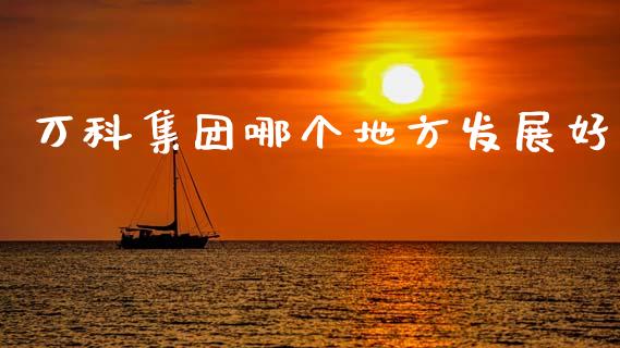 万科集团哪个地方发展好_https://wap.lxcailiao.com_股权投资_第1张