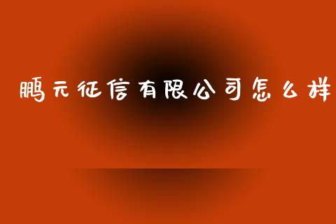 鹏元征信有限公司怎么样_https://wap.lxcailiao.com_股权投资_第1张