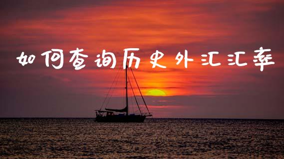 如何查询历史外汇汇率_https://wap.lxcailiao.com_金融监管_第1张