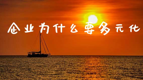 企业为什么要多元化_https://wap.lxcailiao.com_股权投资_第1张