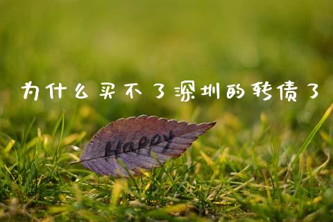 为什么买不了深圳的转债了_https://wap.lxcailiao.com_股权投资_第1张