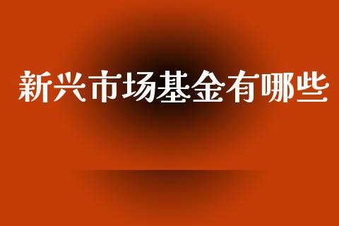 新兴市场基金有哪些_https://wap.lxcailiao.com_金融监管_第1张