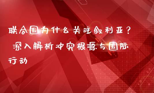 联合国为什么关注叙利亚？ 深入解析冲突根源与国际行动_https://wap.lxcailiao.com_财务管理_第1张