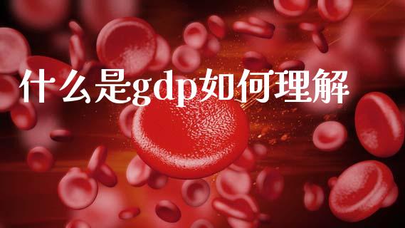 什么是gdp如何理解_https://wap.lxcailiao.com_股权投资_第1张