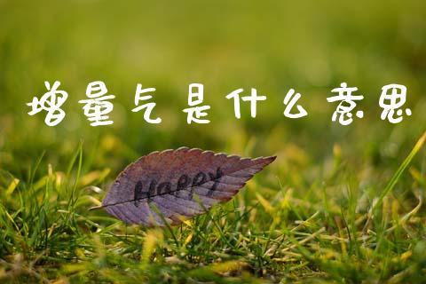 增量气是什么意思_https://wap.lxcailiao.com_股权投资_第1张