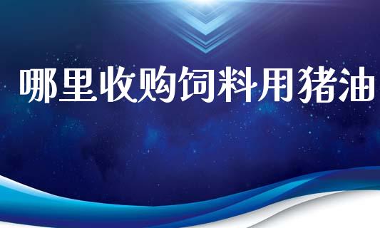 哪里收购饲料用猪油_https://wap.lxcailiao.com_融资担保_第1张